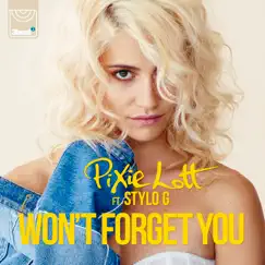 Won't Forget You (feat. Stylo G) Song Lyrics