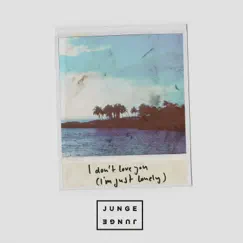 I Don't Love You (I'm Just Lonely) - Single by Junge Junge album reviews, ratings, credits