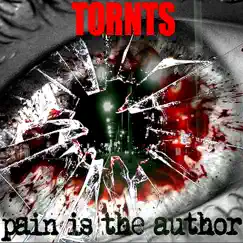 Pain Is the Author - Single by Tornts album reviews, ratings, credits