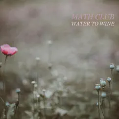 Water to Wine - Single by Math Club album reviews, ratings, credits