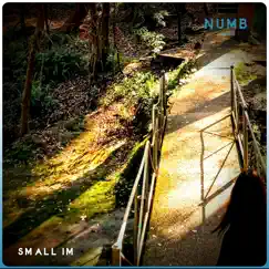 Numb - Single by Small Im album reviews, ratings, credits