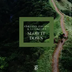 Slow It Down - Single by Adriano Pagani & LuGroove album reviews, ratings, credits