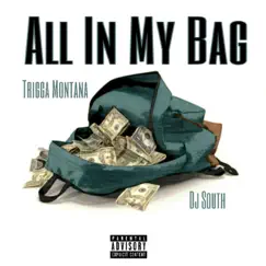All in My Bag - Single by Trigga Montana album reviews, ratings, credits