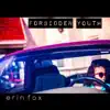 Forbidden Youth album lyrics, reviews, download