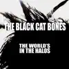 The World's in the Halos - Single album lyrics, reviews, download