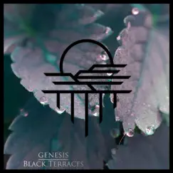 Genesis by Black Terraces album reviews, ratings, credits