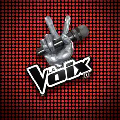 La voix que j'ai (La chanson des coachs de La Voix) [Version Studio] Song Lyrics