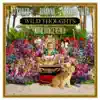 Wild Thoughts (feat. Rihanna & Bryson Tiller) [NOTD Dance Remix] - Single album lyrics, reviews, download