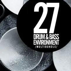 27 Drum & Bass Environment Multibundle by Various Artists album reviews, ratings, credits