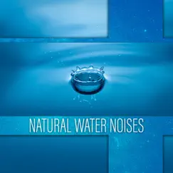 Natural Water Noises: 50 Sleepy Tracks to Help You Sleep, Soothe a Baby, Relax Fast by Healing Waters Zone album reviews, ratings, credits