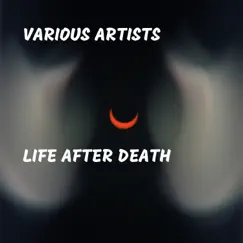 Life After Death by Various Artists album reviews, ratings, credits