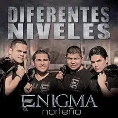 Diferentes Niveles Song Lyrics