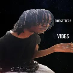 Vibes - Single by Dripsetter B album reviews, ratings, credits