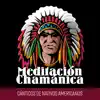 Meditación Chamánica: Cánticos de Nativos Americanos y Música de Flauta, Espiritualidad Chamánica, Trance Profundo album lyrics, reviews, download