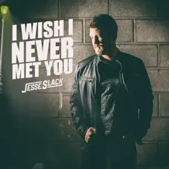 I Wish I Never Met You Song Lyrics