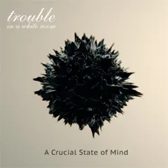 A Crucial State of Mind by Trouble In A White Room album reviews, ratings, credits