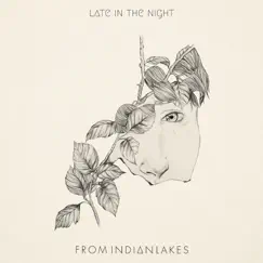 Late in the Night - Single by From Indian Lakes album reviews, ratings, credits
