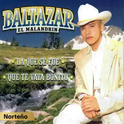 Caminos de Guanajuato Song Lyrics