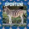 Oportuni (feat. Onzi, Bagster & Vixonflow) - Single album lyrics, reviews, download