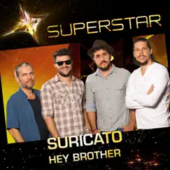 Hey Brother (Superstar) - Single by Suricato album reviews, ratings, credits