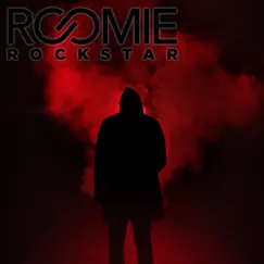 Rockstar (EDM Version) Song Lyrics