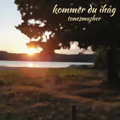 Kommer Du Ihåg - Single by ToneSmasher album reviews, ratings, credits