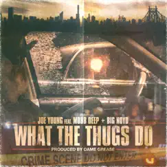What the Thugs Do (feat. Mobb Deep & Big Noyd) Song Lyrics