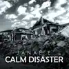 Calm Disaster (Instrumental) - Single album lyrics, reviews, download