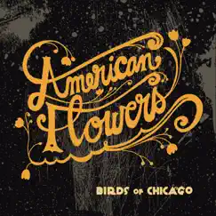 American Flowers (feat. Allison Russell & JT Nero) Song Lyrics