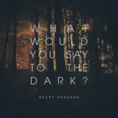 What Would You Say to the Dark Song Lyrics