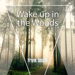 Wake up in the Woods by Frank South album reviews, ratings, credits