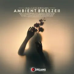 Ambient Breeze, Vol. 2 by Echoes & Solarsoul album reviews, ratings, credits
