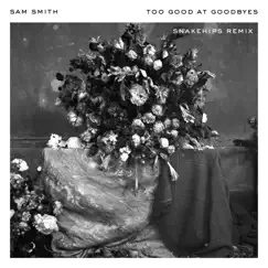 Too Good at Goodbyes (Snakehips Remix) - Single by Sam Smith & Snakehips album reviews, ratings, credits