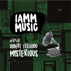 Mysterious - Single by Robert Feelgood album reviews, ratings, credits