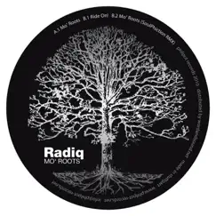 Mo' Roots - EP by Radiq album reviews, ratings, credits