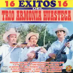 16 Éxitos by Trio Armonia Huasteca album reviews, ratings, credits