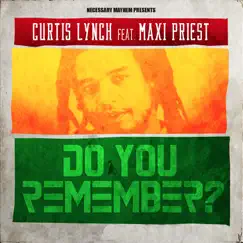 Do You Remember (feat. Maxi Priest) [Remixes & N Sides] - EP by Curtis Lynch & Da Grynch album reviews, ratings, credits