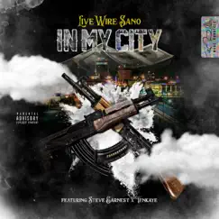 In My City (feat. Steve Earnest & Tenkaye) Song Lyrics