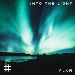 Into the Light - Single by FLXM album reviews, ratings, credits