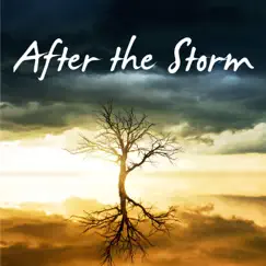 After the Storm - Single by Homegrown Hero album reviews, ratings, credits
