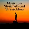 Musik zum Streicheln und Stressabbau album lyrics, reviews, download