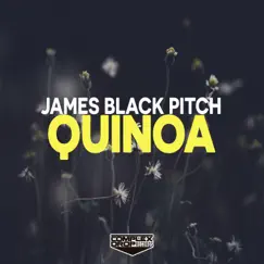 Quinoa - Single by James Black Pitch album reviews, ratings, credits