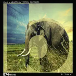 Elephant (Instrumental Tribe Mix) Song Lyrics