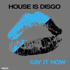 Say It Now - Single by House Is Disgo album reviews, ratings, credits