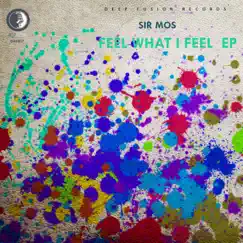 Feel What I Feel (De Mogul SA, Lady Knight, Maronza Where Do I Stand Mix) Song Lyrics
