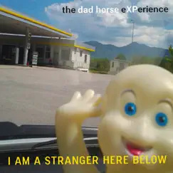 I Am a Stranger Here Below by The Dad Horse Experience album reviews, ratings, credits
