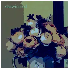 Hook (darwinmcd Remix) Song Lyrics