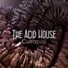 The Acid House - Single album lyrics, reviews, download