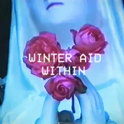 Within - Single by Winter Aid album reviews, ratings, credits