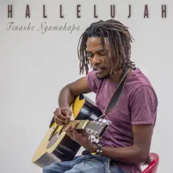 Hallelujah by Tinashe Nyamukapa album reviews, ratings, credits